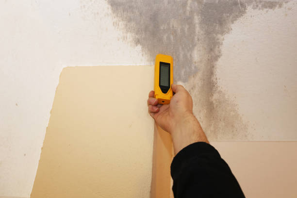 Best Real Estate Mold Inspection  in Upper Montclair, NJ
