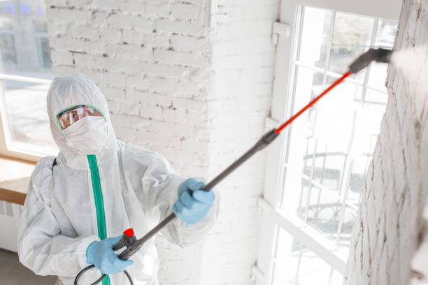 Mold Removal for HVAC Installations in Upper Montclair, NJ