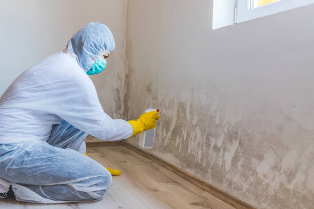 Best Crawl Space Mold Remediation  in Upper Montclair, NJ