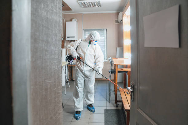 Best Post-Remediation Verification Testing  in Upper Montclair, NJ