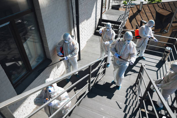  Upper Montclair, NJ Mold Removal Pros