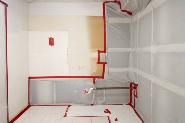 Upper Montclair, NJ Mold Removal Company