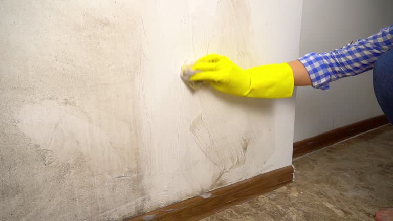 Best Commercial Mold Inspection  in Upper Montclair, NJ
