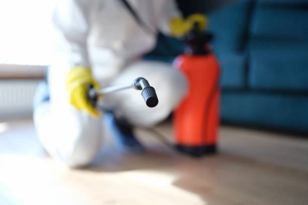Best Comprehensive Air Testing for Mold Contaminants  in Upper Montclair, NJ
